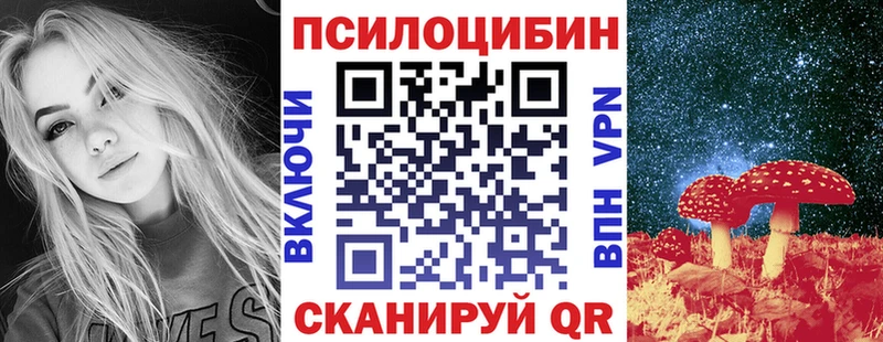 Псилоцибиновые грибы Psilocybe  где купить наркоту  гидра маркетплейс  Камбарка 