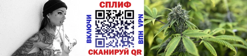 Шишки марихуана AK-47  mega ONION  Камбарка 